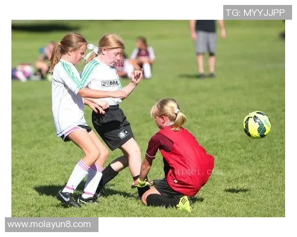 女生选择足球明星的标准与偏好分析探讨