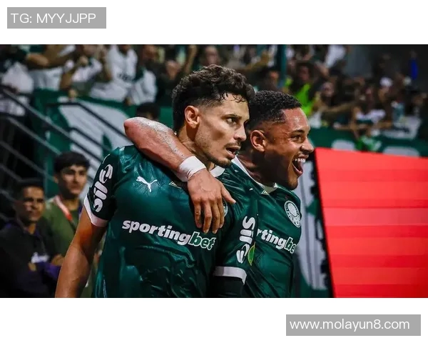 天赋异禀的足球明星们他们如何在绿茵场上书写传奇故事